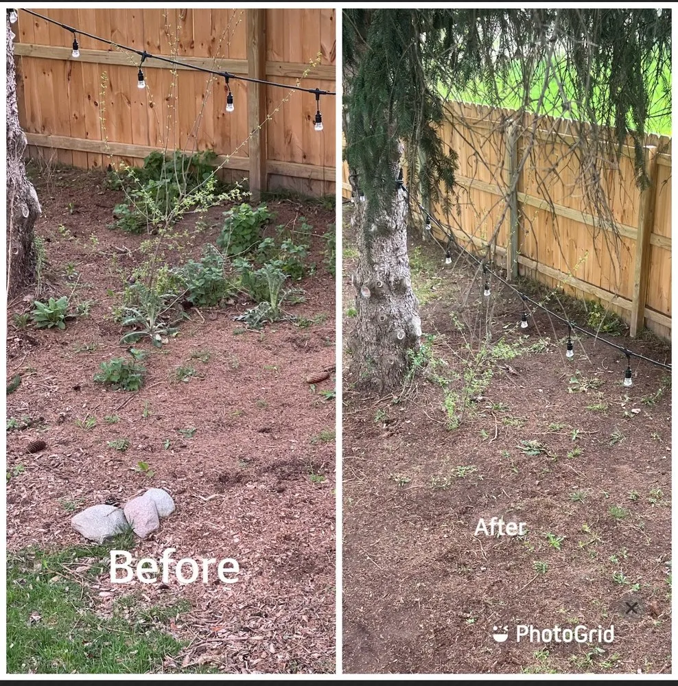 Expert landscaping services in Grand Rapids, MI by A&E Lawn Care Services