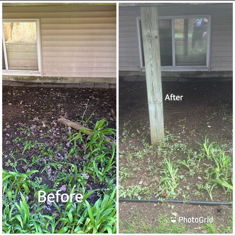 Expert landscaping services for outdoor upgrades in Grand Rapids, MI by A&E Lawn Care Services