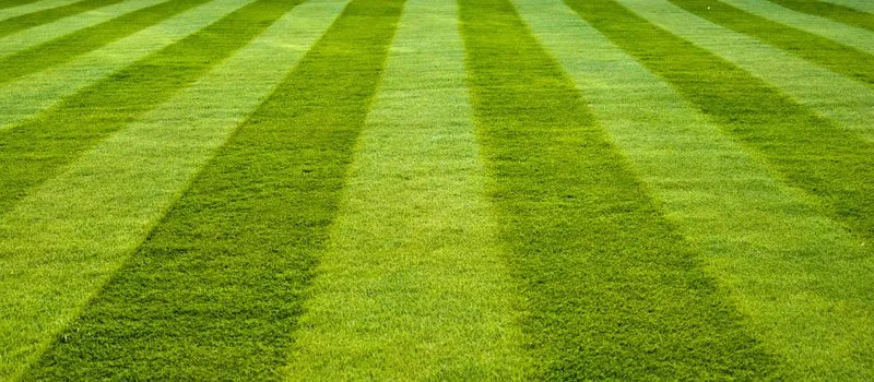Expert landscape installation for outdoor upgrades across Rowland, NC - A&E Lawn Mowing Service