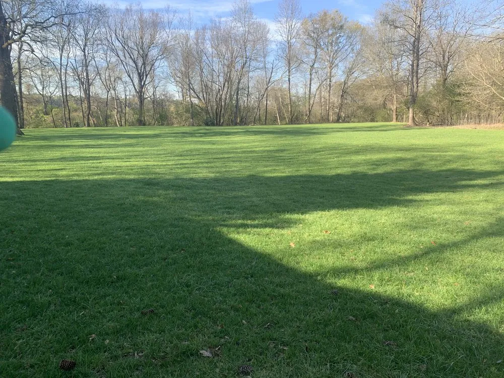 Top-rated yard cleanup service with custom design across Gainesville, GA - A&E Pressure Washing And Landscaping Services