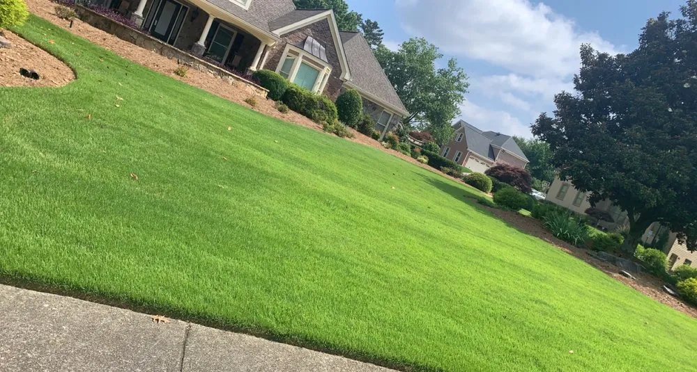 Affordable lawn care service in Gainesville, GA by A&E Pressure Washing And Landscaping Services