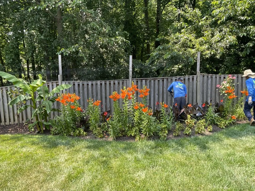 Professional yard maintenance with custom design across Spencerville, MD - AE Quality Landscaping