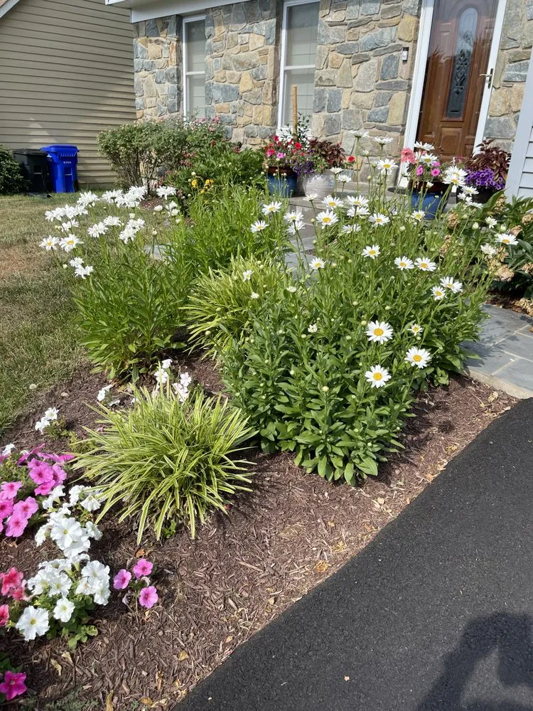 Top-rated landscaping services for homes across Spencerville, MD - AE Quality Landscaping