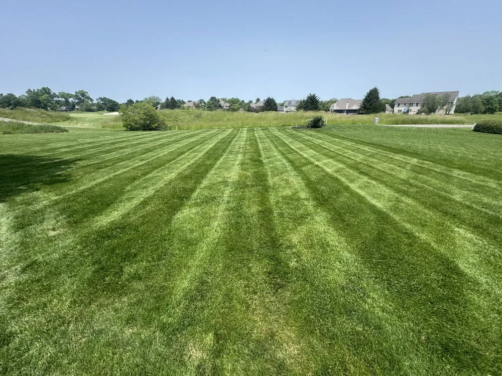 Expert yard maintenance experts serving Reynoldsburg, OH - AE Rojas Landscaping