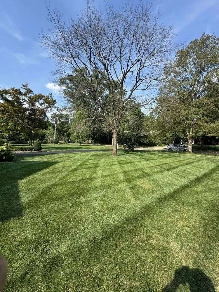 Local lawn care service for residential properties across Reynoldsburg, OH - AE Rojas Landscaping