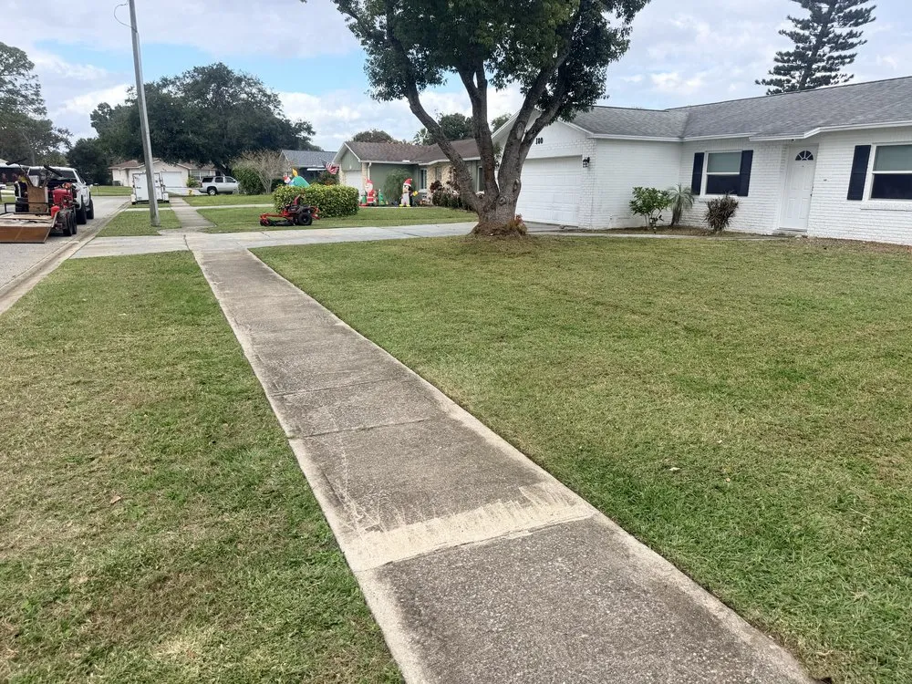 Reliable residential landscaping experts serving DeLand, FL - A&E SantiRios