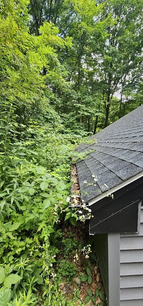 Affordable yard maintenance experts serving Waterbury, CT - A&E Service