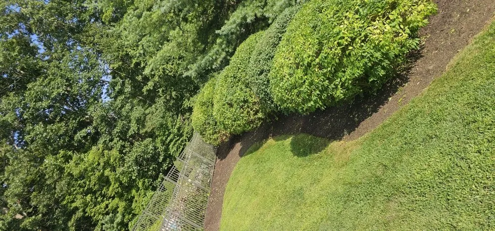 Expert garden landscaping with custom design in Waterbury, CT by A&E Service