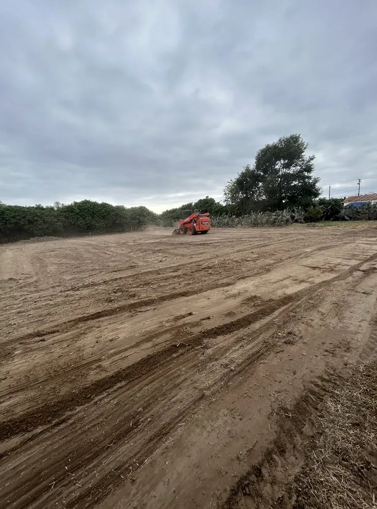 Professional landscape installation with custom design across Oxnard, CA - AEG