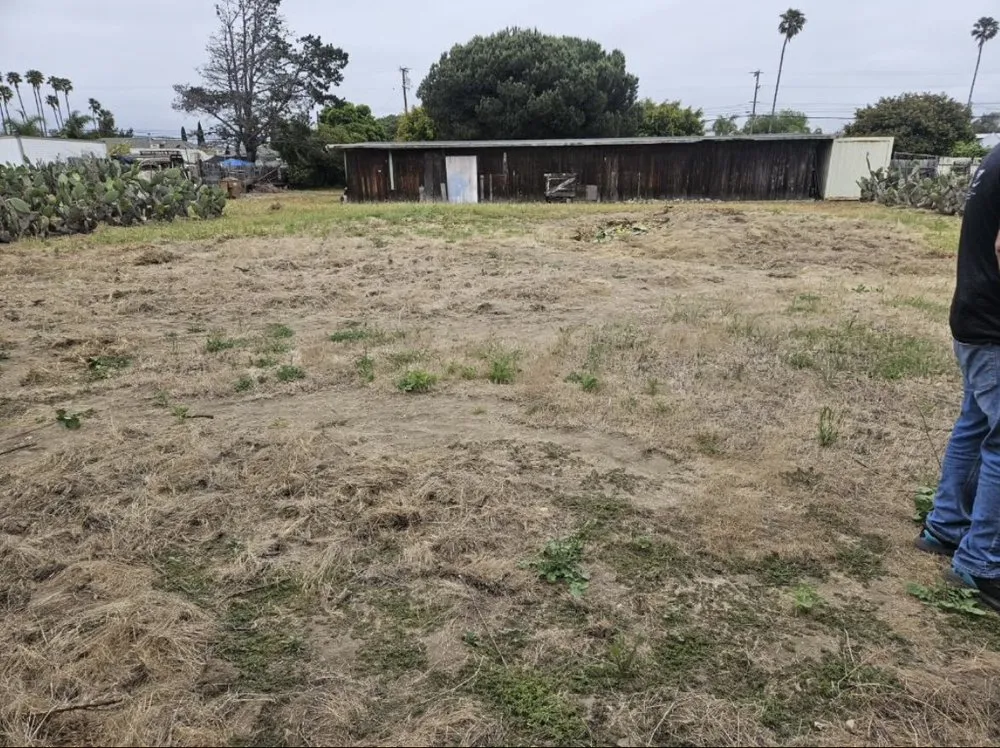 Expert landscaping services experts serving Oxnard, CA - AEG