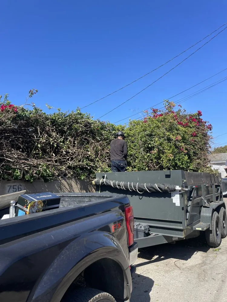 Local outdoor landscaping experts serving Oxnard, CA - AEG