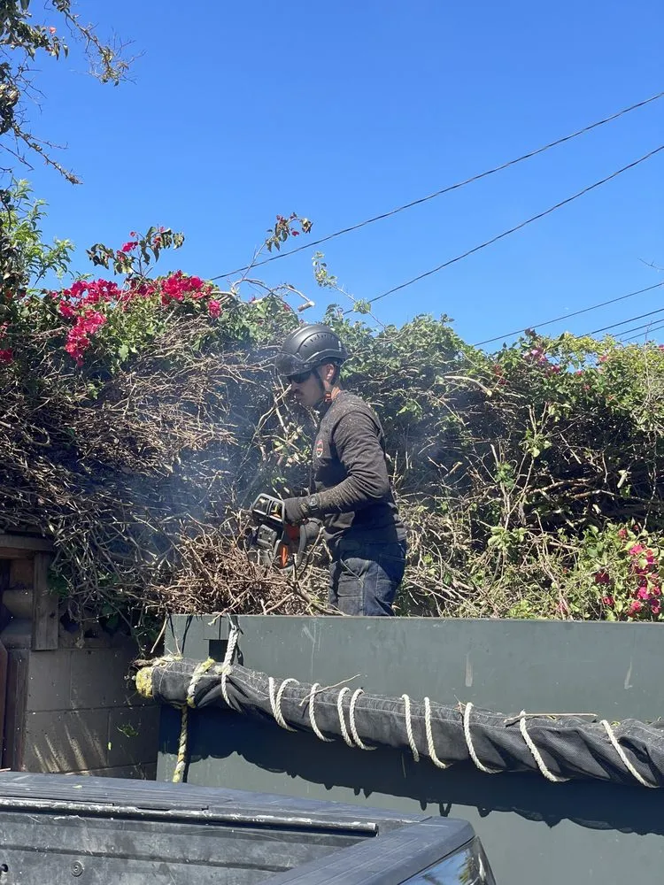 Local residential landscaping near you in Oxnard, CA by AEG