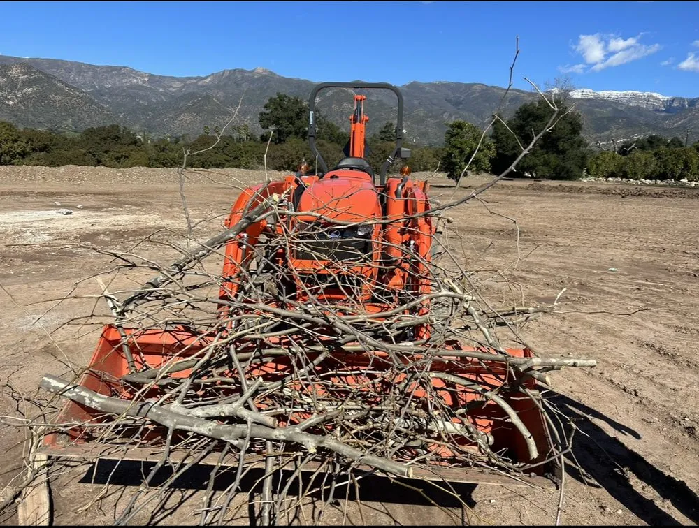 Custom landscape design with custom design in Oxnard, CA by AEG