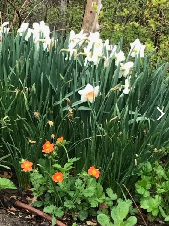 Trusted garden landscaping near you across Poughkeepsie, NY - AEK Construction and Landscape