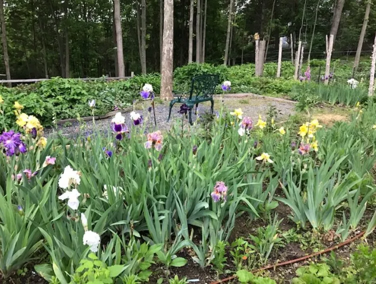 Expert lawn mowing service in Poughkeepsie, NY - AEK Construction and Landscape