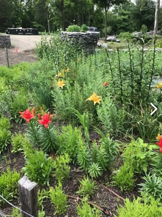 Reliable lawn mowing service in Poughkeepsie, NY by AEK Construction and Landscape