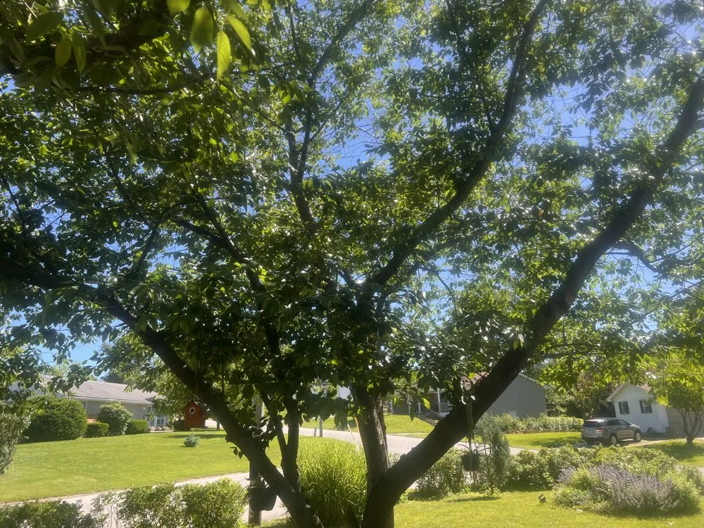 Top-rated yard maintenance in Hannibal, MO - AEK Landscaping