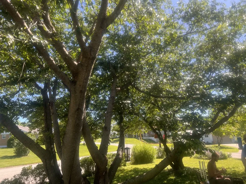 Top-rated garden landscaping for year-round maintenance in Hannibal, MO by AEK Landscaping