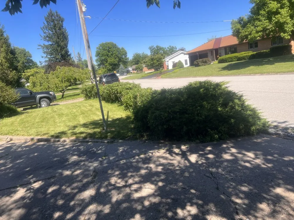 Expert lawn mowing service near you in Hannibal, MO by AEK Landscaping