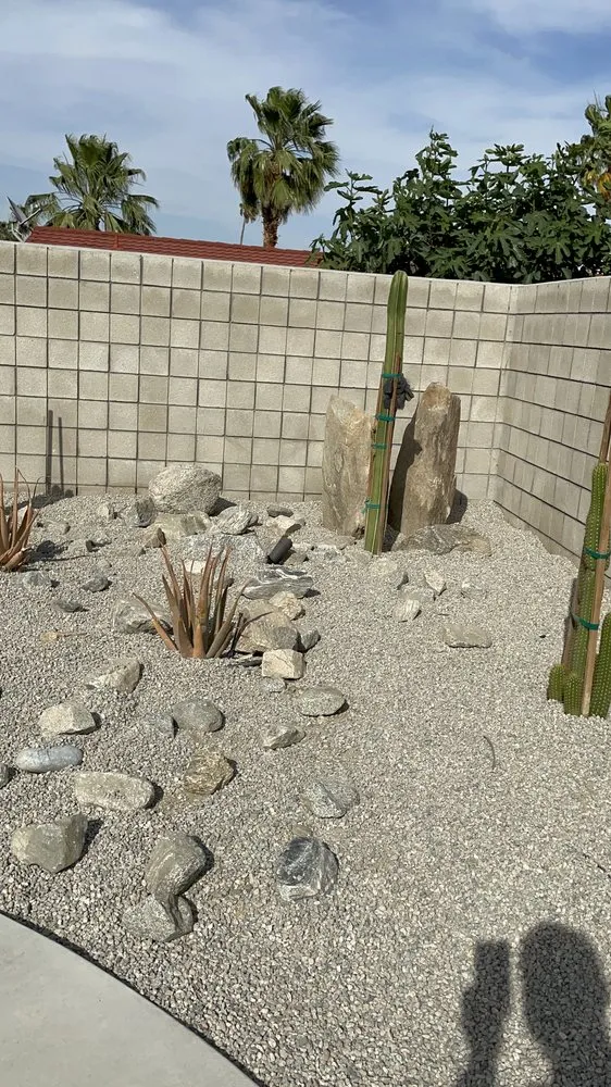 Trusted yard cleanup service for year-round maintenance in Palm Desert, CA by Aelandscape