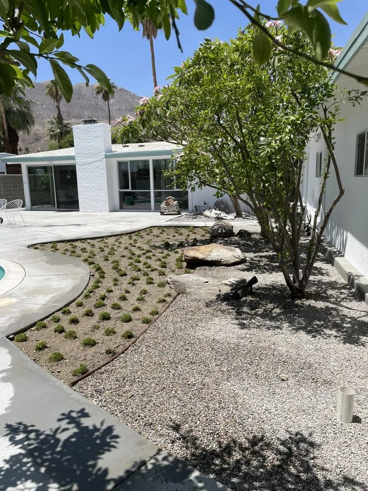 Professional yard maintenance for year-round maintenance in Palm Desert, CA by Aelandscape