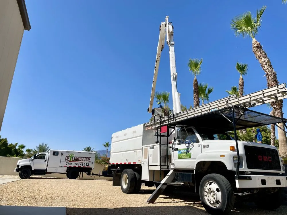 Top-rated landscaping services for residential properties in Palm Desert, CA by Aelandscape