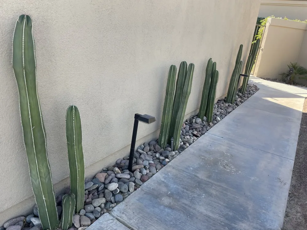 Affordable landscape installation for outdoor upgrades in Palm Desert, CA by Aelandscape