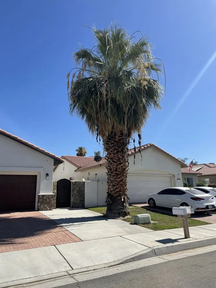 Professional lawn care service experts serving Palm Desert, CA - Aelandscape