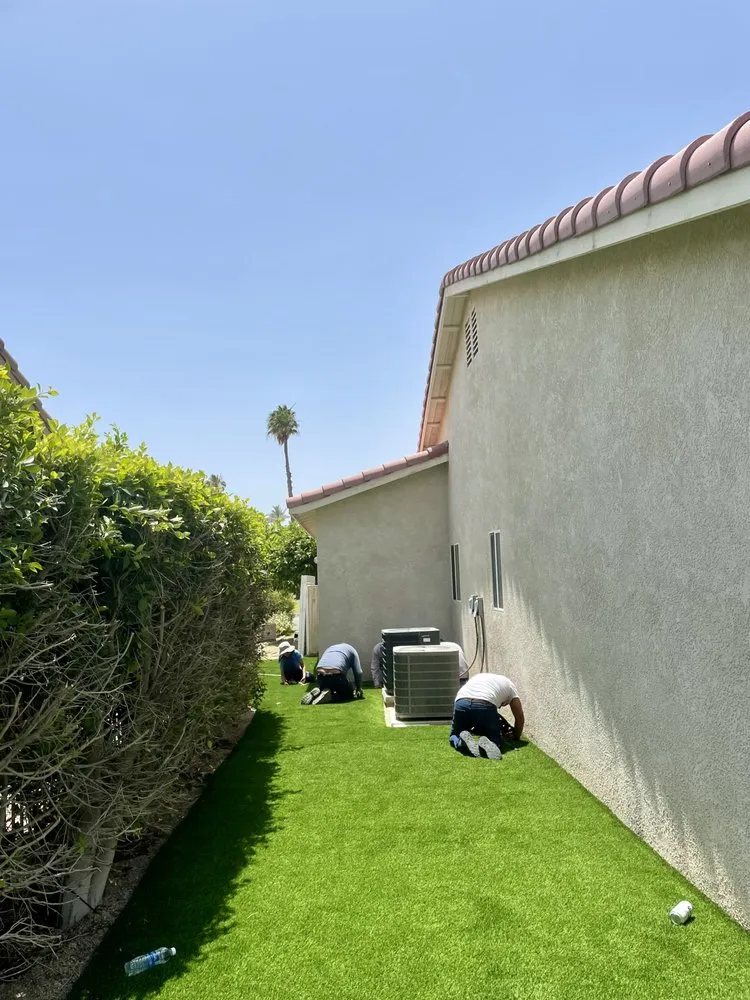 Local yard maintenance in Palm Desert, CA by Aelandscape