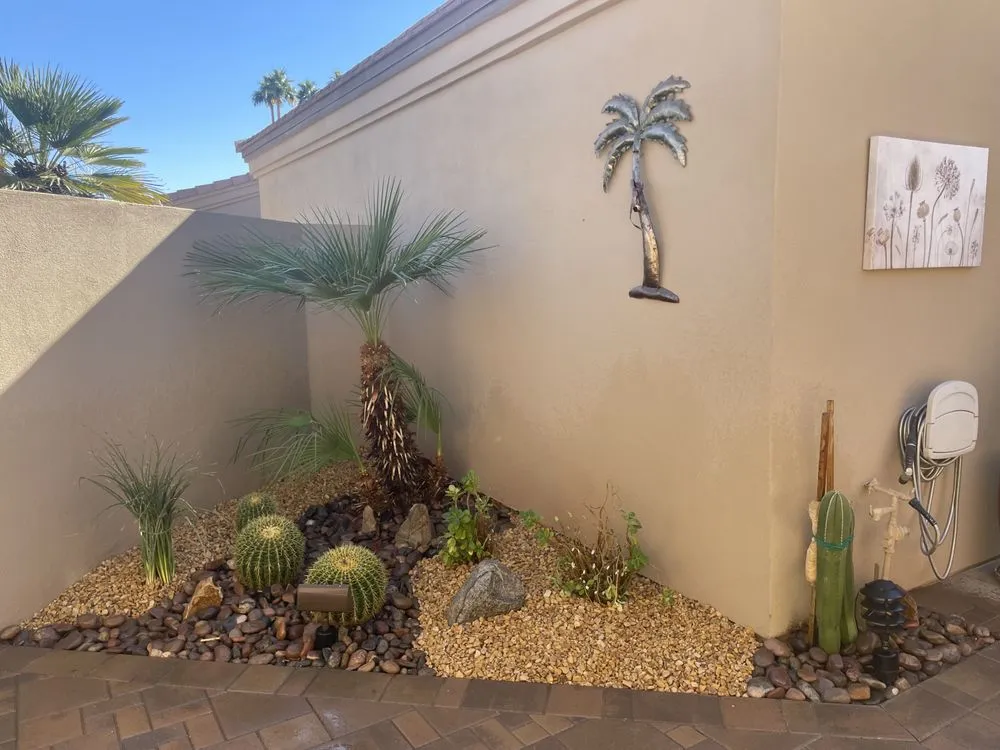 Reliable landscape installation in Palm Desert, CA by Aelandscape