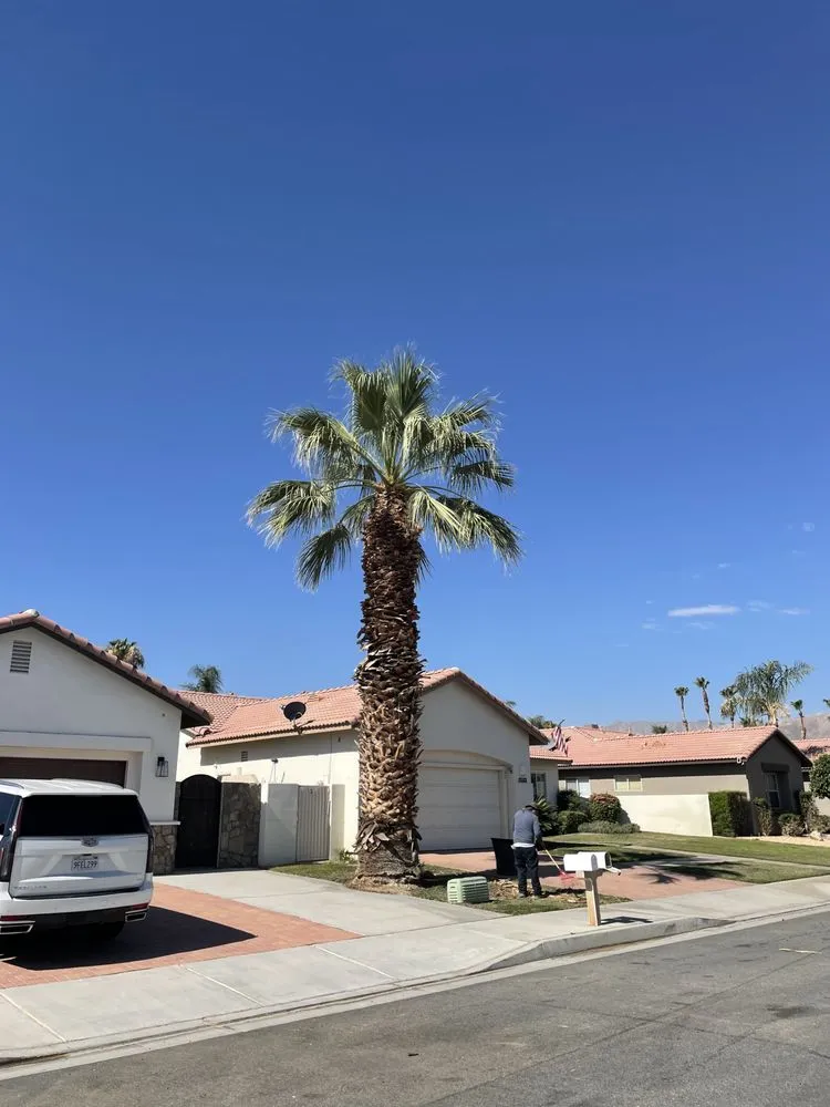 Affordable landscape installation with custom design across Palm Desert, CA - Aelandscape