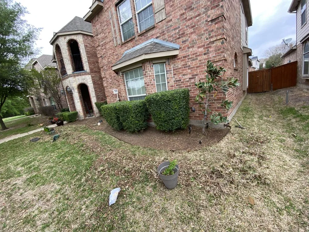 Custom landscape design in Dallas, TX by Aer irrigation & landscaping