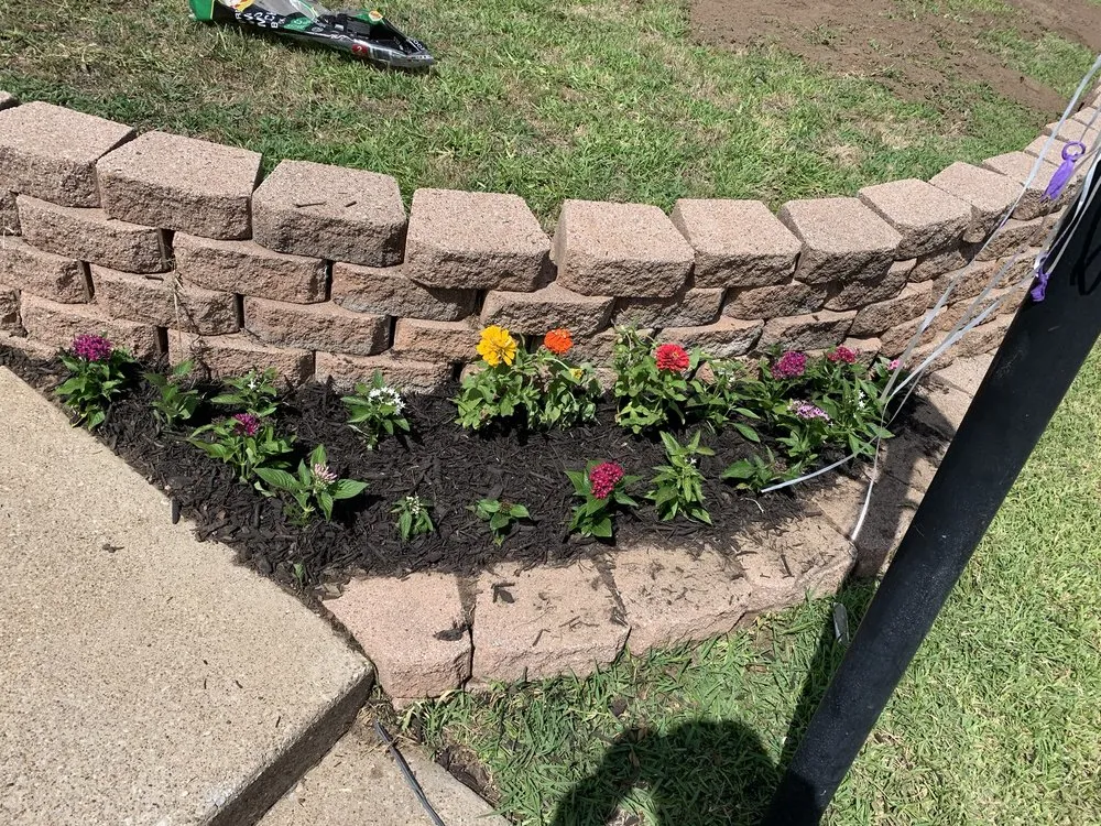 Local lawn care service in Dallas, TX by Aer irrigation & landscaping