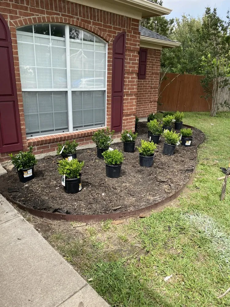 Custom outdoor landscaping with custom design across Dallas, TX - Aer irrigation & landscaping