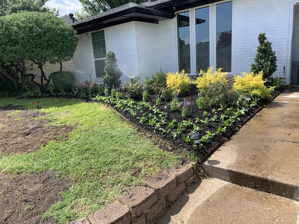 Top-rated landscape installation for residential properties across Dallas, TX - Aer irrigation & landscaping