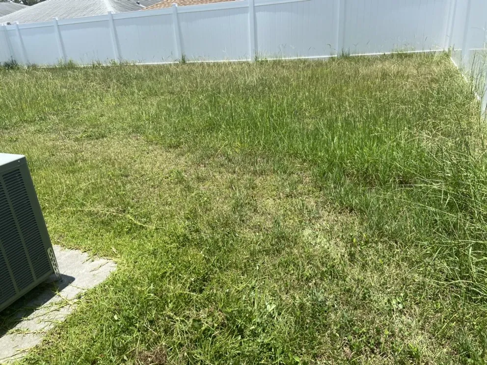 Top-rated landscaping services near you across Wimauma, FL - AER Lawn Maintenance