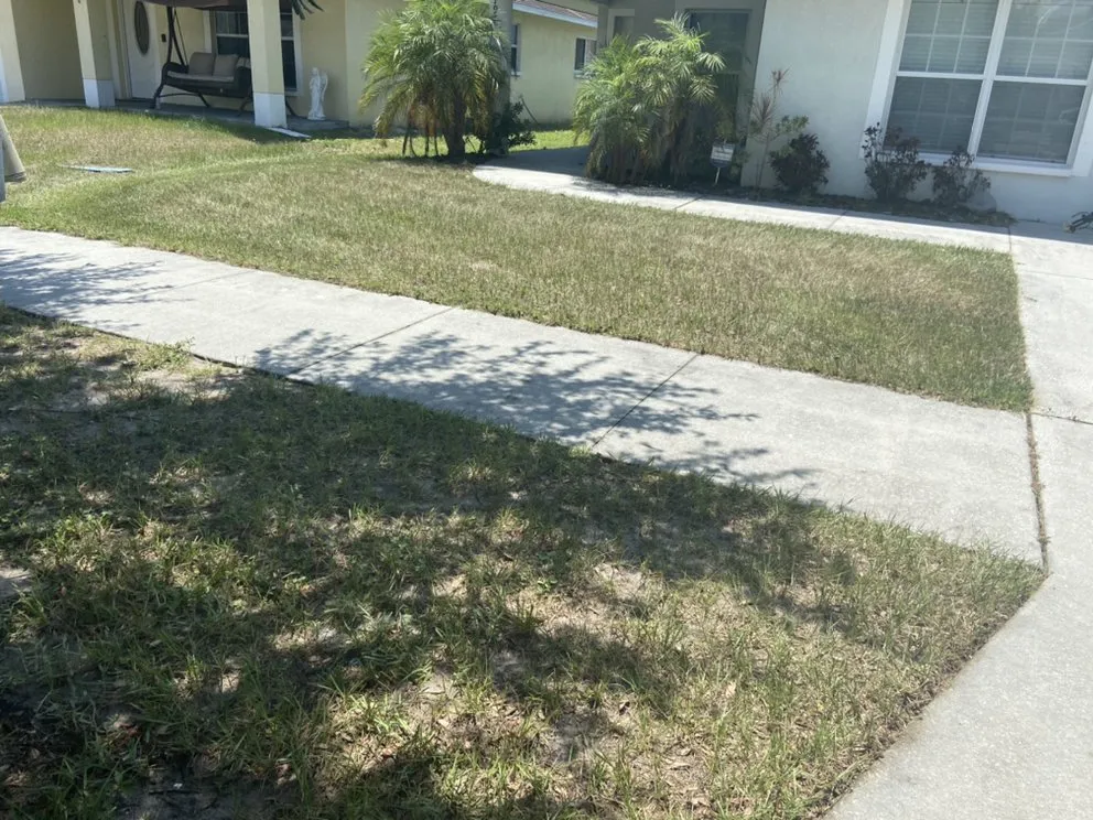 Reliable landscape design for outdoor upgrades in Wimauma, FL by AER Lawn Maintenance