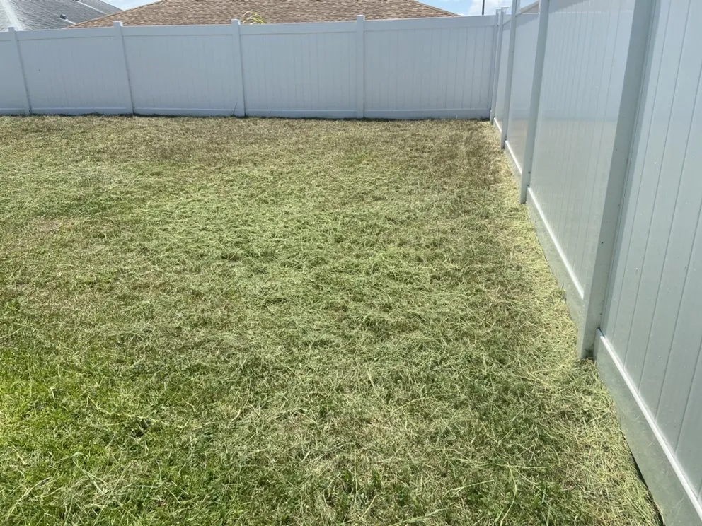 Custom landscape installation near you in Wimauma, FL by AER Lawn Maintenance