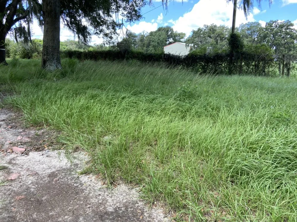 Custom landscape installation with custom design in Wimauma, FL by AER Lawn Maintenance