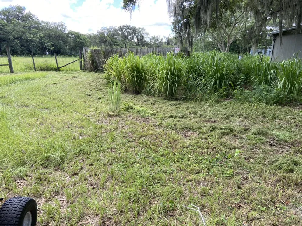 Trusted landscape design in Wimauma, FL - AER Lawn Maintenance