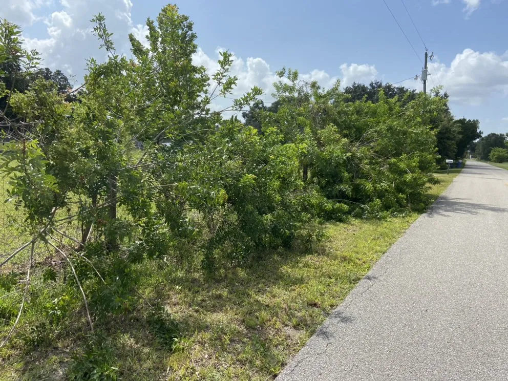 Reliable lawn mowing service near you across Wimauma, FL - AER Lawn Maintenance