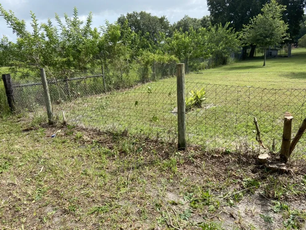 Custom yard cleanup service in Wimauma, FL - AER Lawn Maintenance