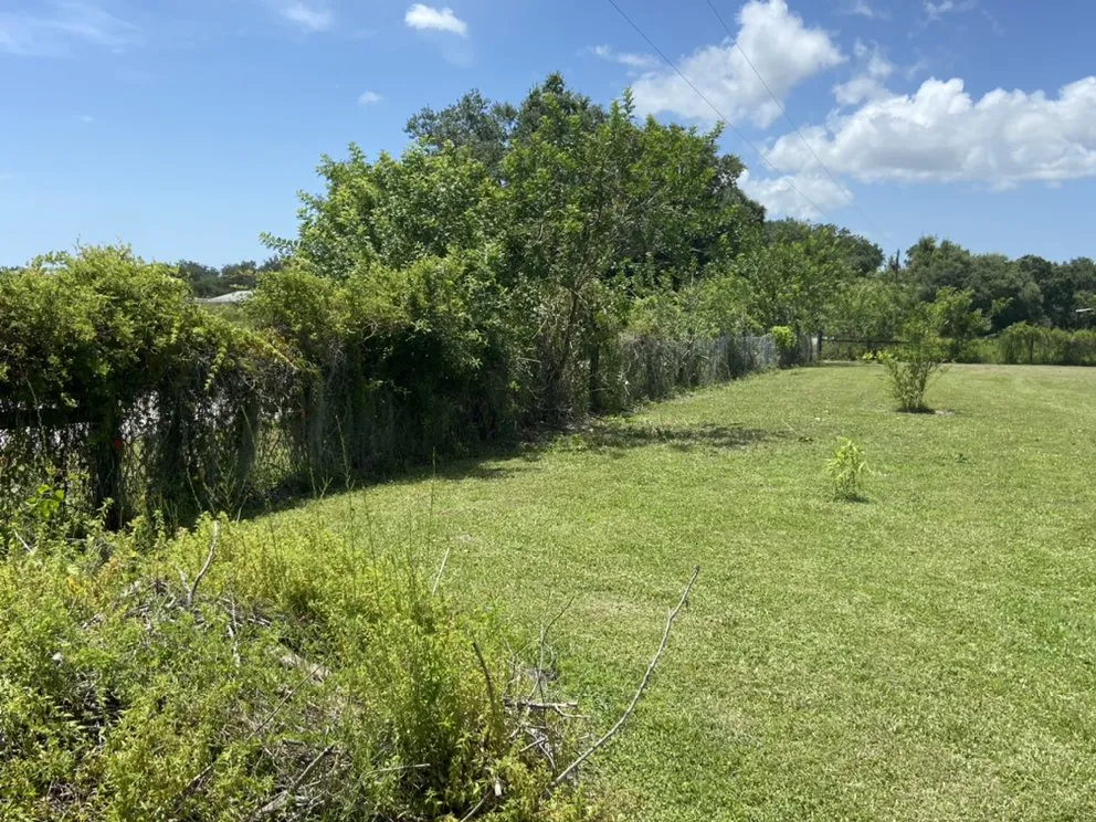 Trusted lawn care service in Wimauma, FL - AER Lawn Maintenance