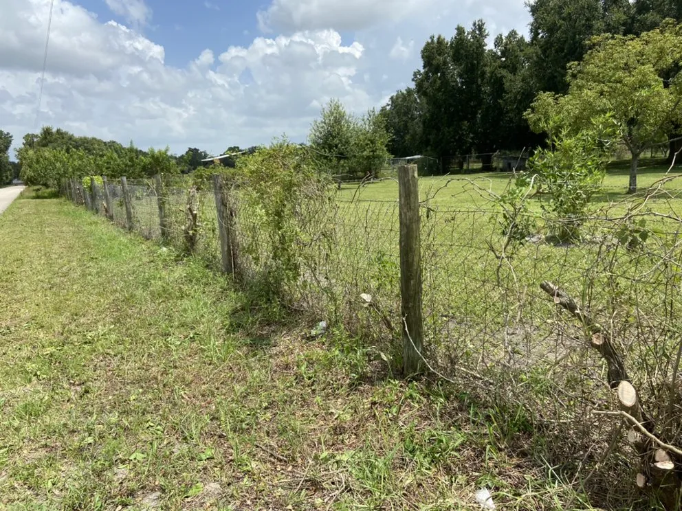 Expert landscaping services near you in Wimauma, FL by AER Lawn Maintenance