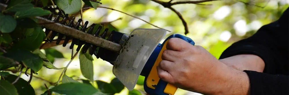 Affordable yard cleanup service for year-round maintenance across Vidalia, GA - AER Lawn Services and Maintenance