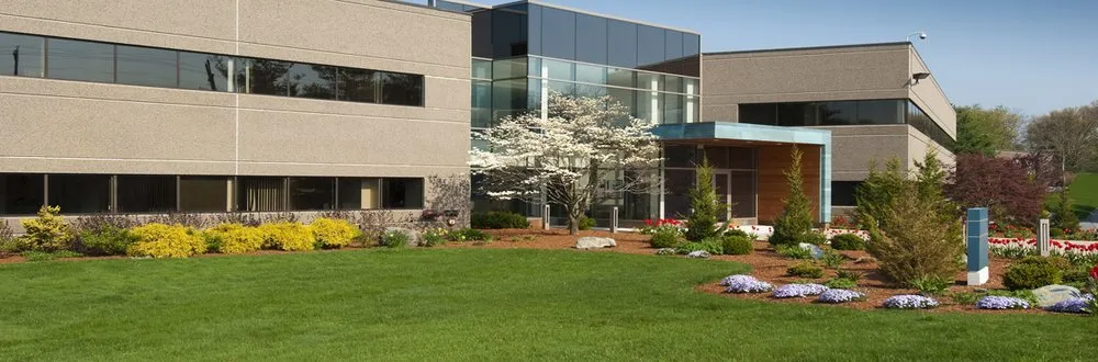 Expert residential landscaping experts serving Vidalia, GA - AER Lawn Services and Maintenance