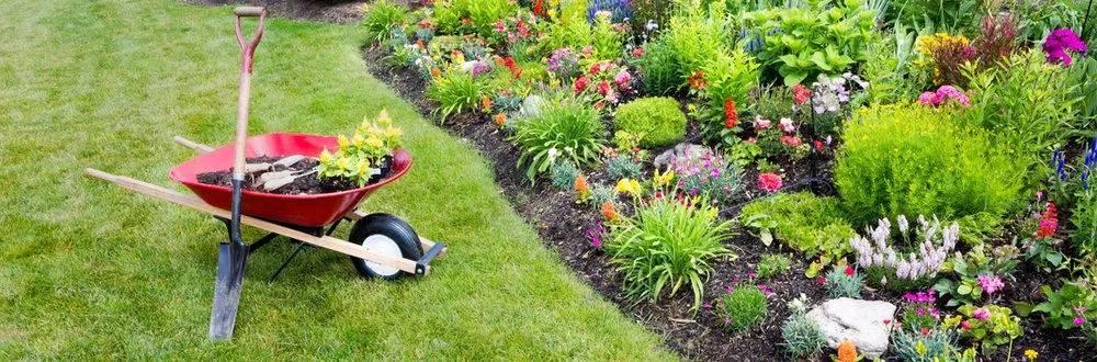 Professional lawn mowing service in Vidalia, GA - AER Lawn Services and Maintenance