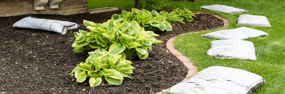 Local residential landscaping in Vidalia, GA by AER Lawn Services and Maintenance