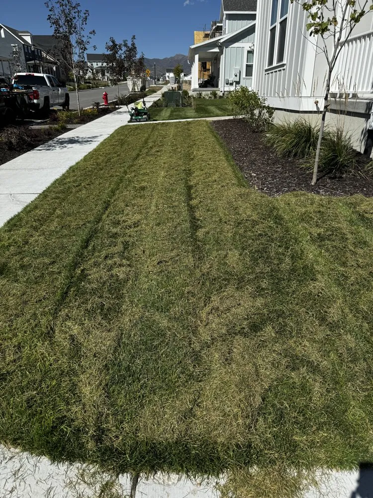 Local lawn care service in Lindon, UT - Aerate & Dethatch