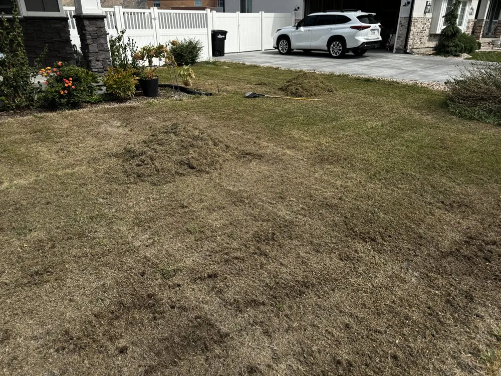 Trusted landscape installation in Lindon, UT by Aerate & Dethatch
